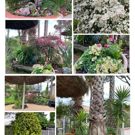Sur Appt Rdc Cadaques Confort Jardin Piscine Parking Wifi *
